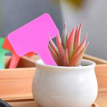 200 PCS 10 Color Plastic Plant Tags,-Type Markers Garden Labels Stakes Gardening Green House Humidity Dome Orchard Botanical Garden Assorted Color - Multicolor - View 6