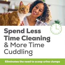 Purina Litter Tidy Cat Breeze Pellets, 3 libras, 2 paquetes, edición limitada - Versión actualizada - Ver 6