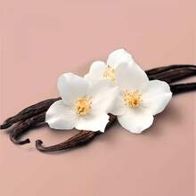 Beloved Coconut & Warm Vanilla Body Cream 10oz - 1 - View 6