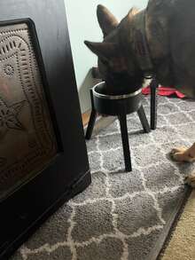 Adjustable Dog Bowl Stand For Medium & Large & Extra Large Dogs, 3 Adjustable Tall Dog Food Stand, Adjustable Wide 17.8-27.1cm Heights 25-30-34cm, Raised Dog Bowl Holder, Elevated Dog Bowl & Water Feeder (Bowl Not Included) - Multicolor - View 8