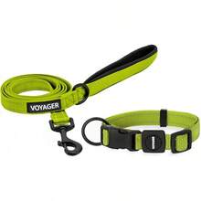 Juego de collar y correa (verde lima)