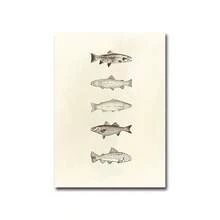 1 件/套中性复古鱼类海报，每日捕捞艺术印刷品，米色简约海鱼墙饰，渔夫美学墙饰，沿海厨房墙饰，鱼类爱好者的海鲜海报，无框架