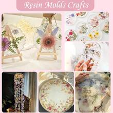 80 Pcs Dried Flowers Crafts, Real Natural Dried Pressed Flowers In Soft Yellow, White & Pink Tones Resin, Art, Jewelry, Candle & Soap Making – Tweezers Included - Đồng 100 xu lớn màu hồng và cam - Xem 8