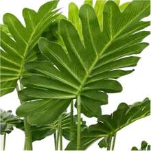 82cm 18 Branches Tall Fake Banana Leaves With Stems Imitation Bird Of Paradise Palm Fake Leaves Tropical Plant Green Leaves Flowers Jungle Beach Party Home Garden Decoration Wedding Decoration Without Flower Pot