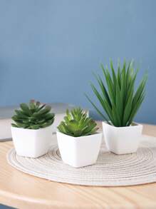 1/3 Stücke 3-5 Zoll (H) Mini Sukkulenten Topfpflanzen für Zuhause, Schlafzimmer, Wohnzimmer, Hochzeit, Geburtstag, Abschluss, Party und Tischdekoration