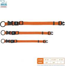Pet Basic Dog Collars - Collar (Orange) - View 4