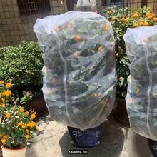 1 件带拉绳的花园网 - 适用于植物、水果和树木的防虫防鸟罩。花园植物水果蓝莓灌木防护网罩，带拉绳。花园植物网状隔离袋，适用于蔬菜果树。 - 彩色 - 查看 10