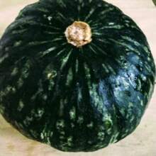 500 Pieces Pumpkin Seeds, Winter Pumpkin Hokkori Pumpkin, Japanese Pumpkin Seeds