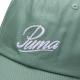 Puma ESS SCRIPT LOGO 老爹帽，男女通用运动帽，复古时尚休闲遮阳帽，棒球帽 025996-03 - 青綠色 - 查看 3