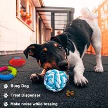 3/6pcs Small Dogs Chew Toys Set Interactive Teeth Cleaning Rope Knots For Puppy