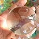 Giant King Pearl Transparent Color
