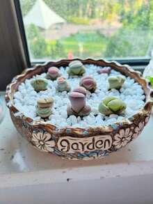 1pcs100/300/500/800g White Pebbles Potted Plants Succulent Green Plants Filled With Stones Courtyard Balcony Paving White Stones Christmas Tree Underground Snowflakes Stones