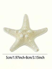 6pcs Natural Conch Shell, Mantis Shrimp, Starfish Specimen Mediterranean Platform Decor, Ocean Wall Art Home Decoration Series. Please Note That This Is A Natural Product And May Have A Natural Scent That Cannot Be Avoided.