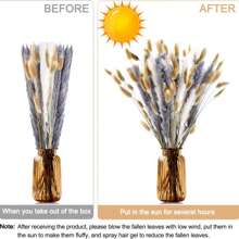 90 Pampas Grass Bouquets - Suitable For Weddings, Home Decor, Parties, Seasonal Celebrations And Vase Fillings, Percy Style Garden Decoration, Country Center Ornaments, Natural Textures - Without Containers