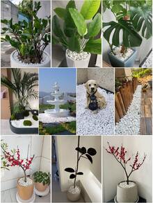 1pcs100/300/500/800g White Pebbles Potted Plants Succulent Green Plants Filled With Stones Courtyard Balcony Paving White Stones Christmas Tree Underground Snowflakes Stones