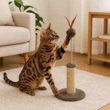 Mini Cat Scratching Post In Beige Sisal And Ball Spring - Yellow - View 7