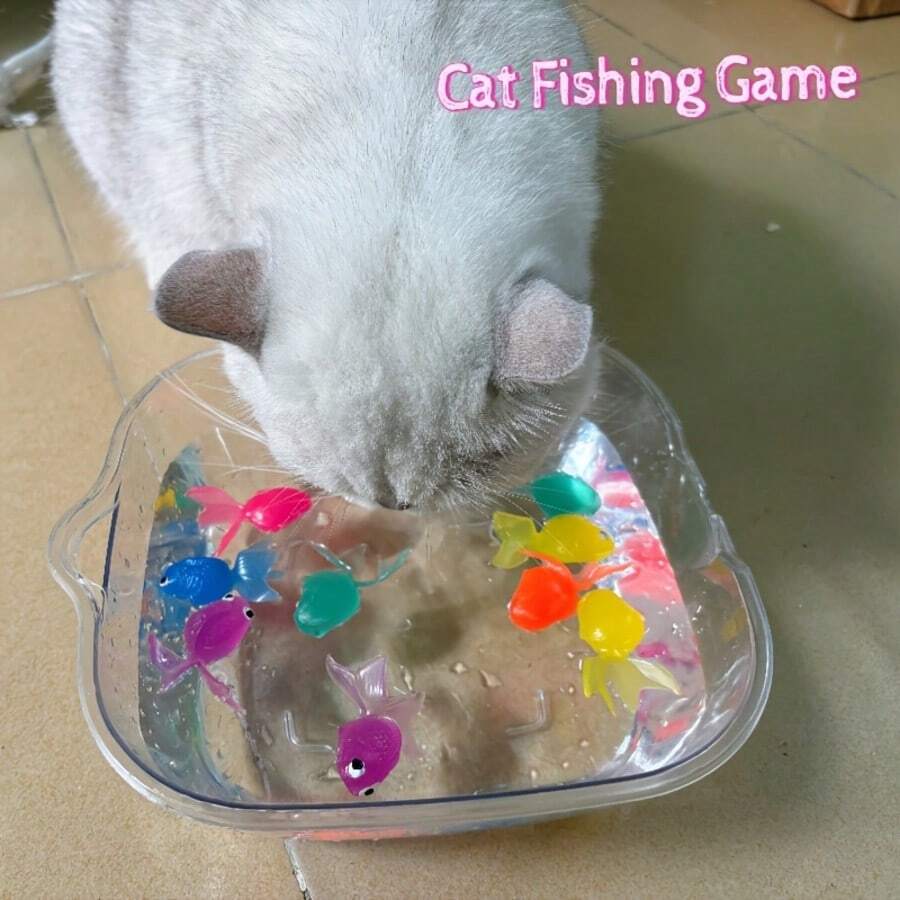 6/12/24pcs Floating Cat Toys - Amusing Interactive Pet Play, Batteryless, Realistic Fish-Shaped Water Toys, For Indoor & Outdoor Use, Durable Plastic Structure; Cat Supplies, Cat Toys, Cats, Outdoor Water Toys, Cool