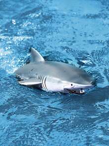 قارب بعد تحكم عن بُعد بشكل سمكة قرش ذو وجهين، قابل للتبديل لاستخدامه بالحمام أو الخارج، بتصميم شكل سمكة قرش، لعبة ممتعة، هدية عيد الميلاد للبالغين والأطفال - أبيض - مشاهدة 6