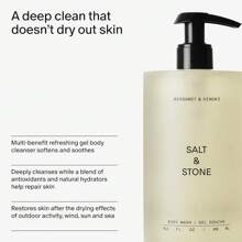Gel de ducha rico en antioxidantes - Santal y Vetiver | Limpia, nutre y suaviza la piel con niacinamida e ácido hialurónico | Libre de parabenos, sulfatos y ftalatos (152 Fl Oz)