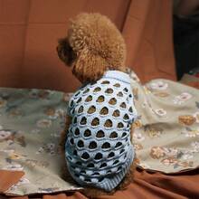 1pc Hollow Knit Puppy Sweater, Cat Blue Pet Clothes, Soft & Skin-Friendly, Anti-Shedding, Suitable For Indoor & Outdoor Activities For Cats & Dogs