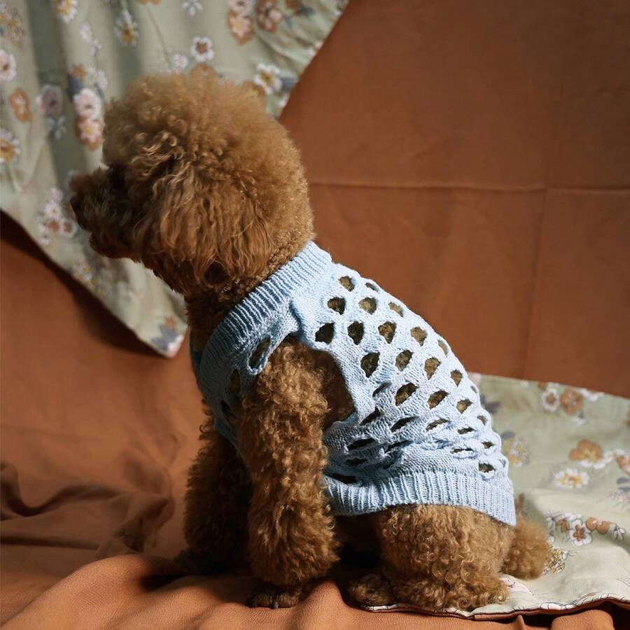 1pc Hollow Knit Puppy Sweater, Cat Blue Pet Clothes, Soft & Skin-Friendly, Anti-Shedding, Suitable For Indoor & Outdoor Activities For Cats & Dogs