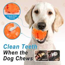 1pc,Dog Chew Toy For Teeth Cleaning - Asymmetrical Molar Granules Dental Care Chew Toy | Teeth Cleaning While Chewing, Filled Toy, Visible Results (Before & After) - Puppy & Adult Dog