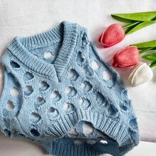 1pc Hollow Knit Puppy Sweater, Cat Blue Pet Clothes, Soft & Skin-Friendly, Anti-Shedding, Suitable For Indoor & Outdoor Activities For Cats & Dogs