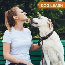 Local Delivery--12KN Heavy Duty Carabiner Clips - Favofit 3.2'' Small Carbineers For Hiking Camping Hammocks Keys Keychains Dog Leashes - Ideal For Outdoor Enthusiasts - Red/Yellow/Pink/Orange - 查看 5