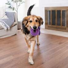 Outward Hound Cutie Chewies Hedgehog Dental Dog Chew Toy, Blue