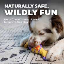 Outward Hound By Charming Pet Squawkers Earl Latex Squeaky Rubber Chicken Dog Toy, Funny Interactive Holiday Toy For Dogs, Large Size - Henrietta, Small - 查看 4