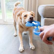 Outward Hound Cutie Chewies Hedgehog Dental Dog Chew Toy, Blue - Nha khoa - Xem 7