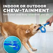 Outward Hound Cutie Chewies Hedgehog Dental Dog Chew Toy, Blue - Nha khoa - Xem 6