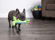 Juguete de peluche con chillido para perros Dragones Bubble de GoDog, tecnología de protección contra masticado - Rosa, Pequeño - Verde delgado - Ver 4