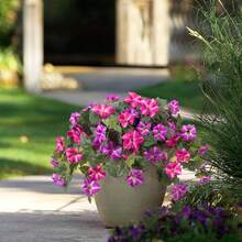 1pc Artificial Petunias Flowers Plants For Outdoor Decoration Spring Faux Morning Glory Silk Flower UV Resistant No Fade Floral For Home Garden Balcony Yard Porch Realistic Indoor Decor