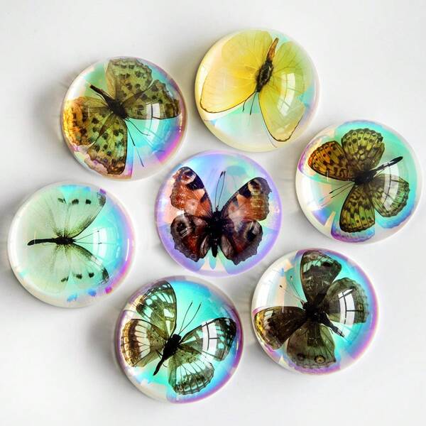 1pc Resin Epoxy Dipped Half-Sphere Iridescent Butterfly Decor, Insect Models Including Crystal Small Yellow Powder Butterfly, Brown Hairstreak, Yellow-Barred Swallowtail, Green-Veined White, Cabbage White, Purple Emperor, Crystal Butterfly Model Decorations, Original Forest Giant Beetle Centipede Model, Magical Nature Real Rare Insects, High Transparency Eternal Preservation Transparent Resin Natural Insect Creative Small Ornaments, Gift Scorpion Specimen