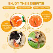 1pc,Dog Chew Toy For Teeth Cleaning - Asymmetrical Molar Granules Dental Care Chew Toy | Teeth Cleaning While Chewing, Filled Toy, Visible Results (Before & After) - Puppy & Adult Dog