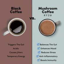 RY-ZE Organic Mushroom Coffee (30 Servings) | 6 Adaptogens + MCT Oil, Lion's Mane For Focus – USA Instant – Fuel Energy, Support Digestion & Immunity! - 2PC - Xem 7