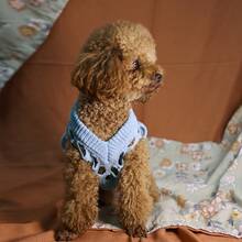 1pc Hollow Knit Puppy Sweater, Cat Blue Pet Clothes, Soft & Skin-Friendly, Anti-Shedding, Suitable For Indoor & Outdoor Activities For Cats & Dogs