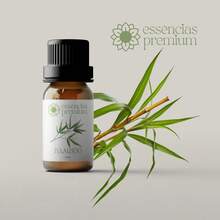 Difusor Aromatizador Elétrico Standard Bivolt Via Aroma e 5 Essências Aleatórias 15 ml