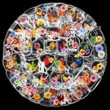 100pcs Transparent Floral Stickers With Vibrant Mason Jar Flower Patterns, Bow Decorations And Asymmetrical Shapes - Durable Plastic Semigloss Surface, Suitable For DIY Crafts, Notebooks, Water Bottles, Phone Cases - Decorative Stickers, Cute Stickers School Supplies, Back To School