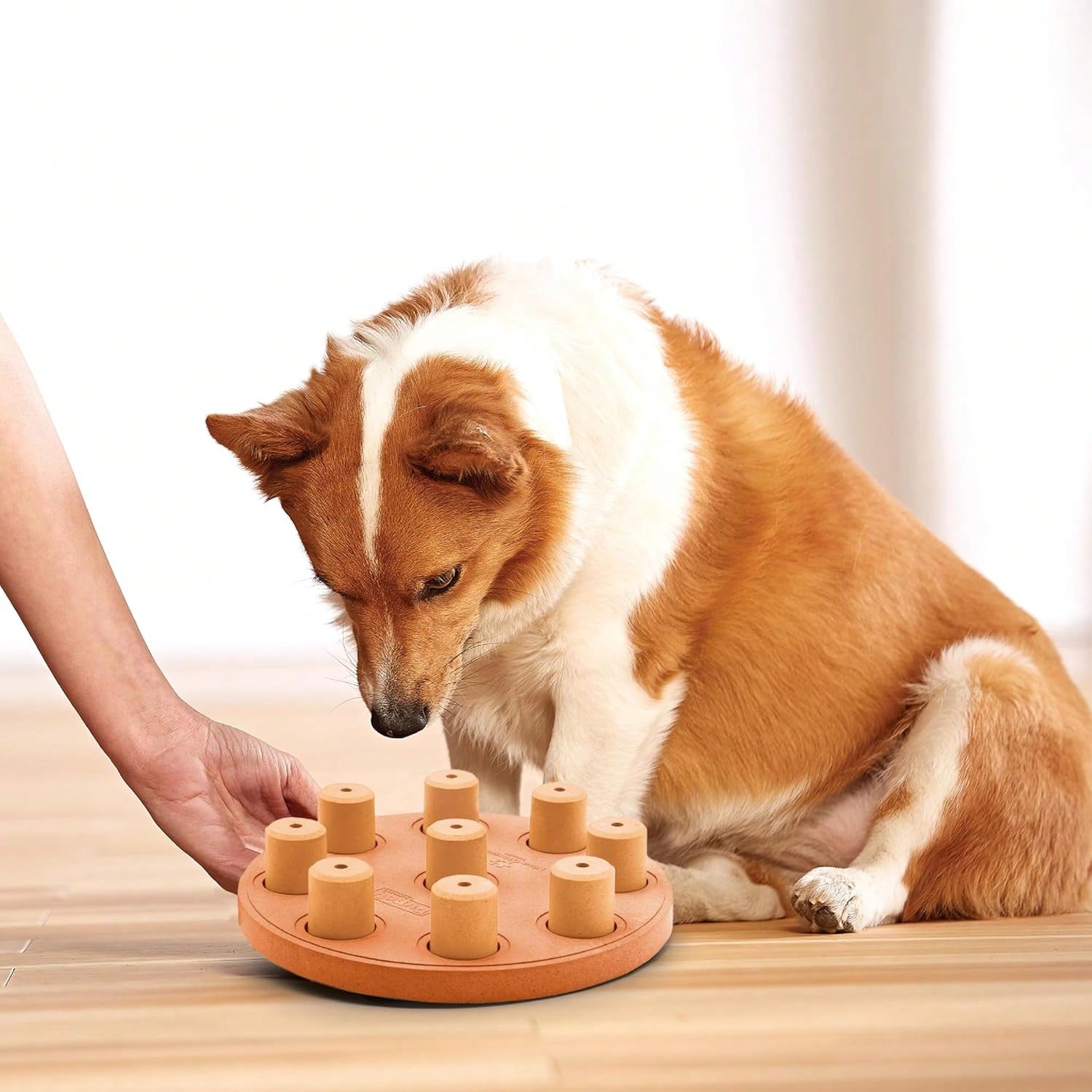 Dog Smart Composite (Màu cam)