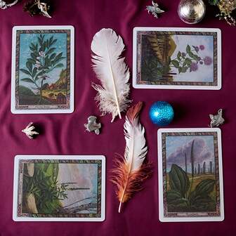 Druid Card Game, Family Party Entertainment, Tabletop Game, Board Game, Divination, Suitable As Christmas, Halloween And Thanksgiving Gifts For Friends