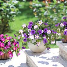 1pc Artificial Petunias Flowers Plants For Outdoor Decoration Spring Faux Morning Glory Silk Flower UV Resistant No Fade Floral For Home Garden Balcony Yard Porch Realistic Indoor Decor