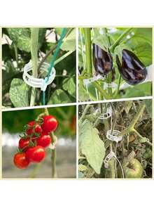 100pcs Tomato Clips, Plastic Trellis Clips, Plant Support Clips, Grape Vine Clips, Tomato Vines, Vegetable Plant Clips, Garden Clips, Seedling Fixing Clips, Keep Plants Growing Upright And Healthy - Multicolor - View 3