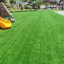 Artificial Grass Turf, Easy Maintenance, High-Quality Synthetic Grass Carpet, Suitable For Indoor/Outdoor Garden, Playground Decor, Pet-Friendly, Balcony And Yard Fake Grass