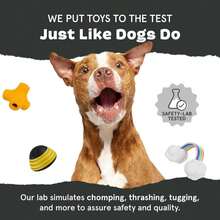 Barkbox Super Chewer Tough Dog Chew Toys For Aggressive Chewers, Dental Stimulating (Chopper - Large) - Chopper - Large - View 7