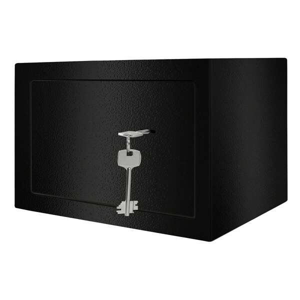 TRMLBE Safe Tresor für Zuhause Möbeltresor mit Doppelbartschloss Wandtresor Wandsafe Boden Schranktresor aus Stahl ink. 2 Schlüssel und 4 Befestigungsschraube, Schwarz