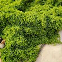 1*1m Artificial Moss Mat, Suitable For Bonsai, Micro Landscape, Home Decor, Photography Props - Multicolor - View 8