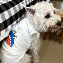 1pc Pet Summer Sleeveless Top, Cartoon Dog/Cat Print Cool Pet Shirt, Lightweight & Breathable, Suitable For Miniature Schnauzers, Poodles, Bichons, Maine Coons, Toygers Etc, Fashionable Pet Clothing