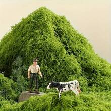 1*1m Artificial Moss Mat, Suitable For Bonsai, Micro Landscape, Home Decor, Photography Props - Multicolor - View 7